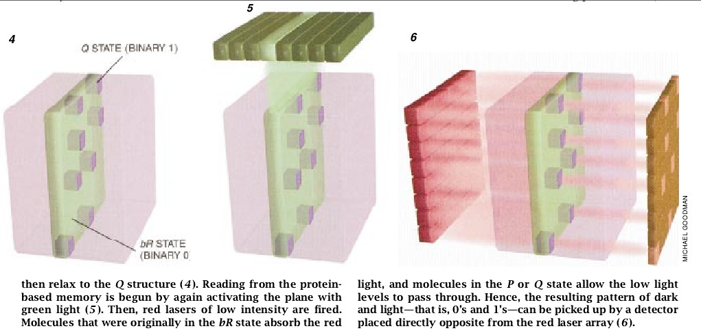 Protein-Based Computers-06.jpg