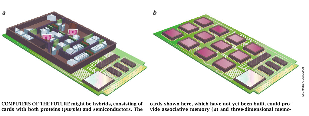 Protein-Based Computers-07.jpg