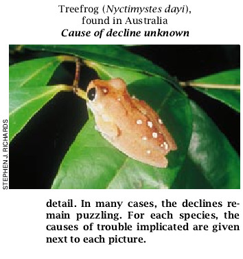 The Puzzle of Declining Amphibian Populations-07.jpg