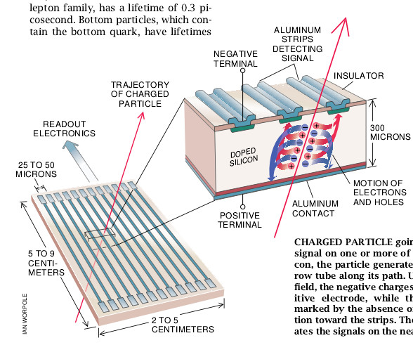 The Silicon Microstrip Dector-05.jpg