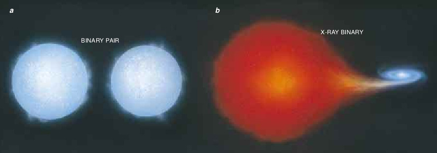 Binary Neutron Stars-02.jpg