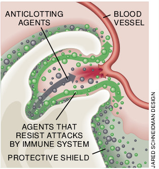 Hookworm Infection-09.jpg