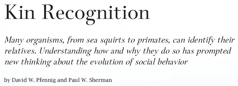Kin Recognition.jpg