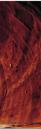 SL26YEMNDJ~EEGNVAG{Y~CS.png