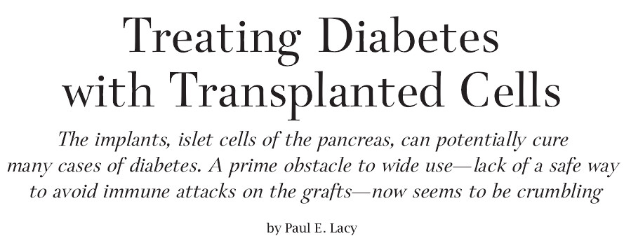 Treating Diabetes with Transplanted Cells.jpg