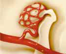生物钟滴答响4.png