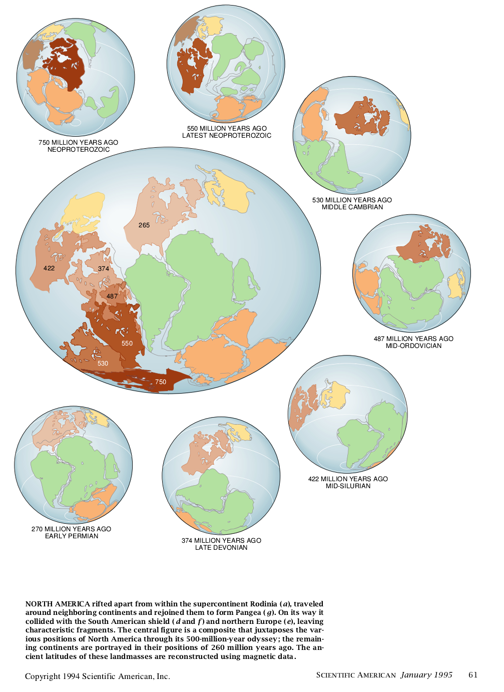 Earth before Pangea-04.jpg