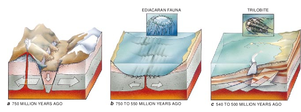 Earth before Pangea-05.jpg