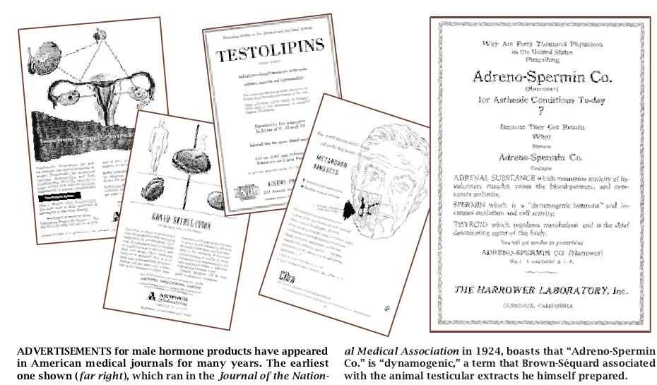 The History of Synthetic Testosterone-03.jpg