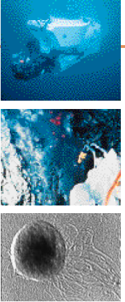 图片251.png