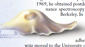 图片329.png