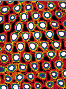 GQ686{9LL5QW2_$RW@Y]Q0Y.png