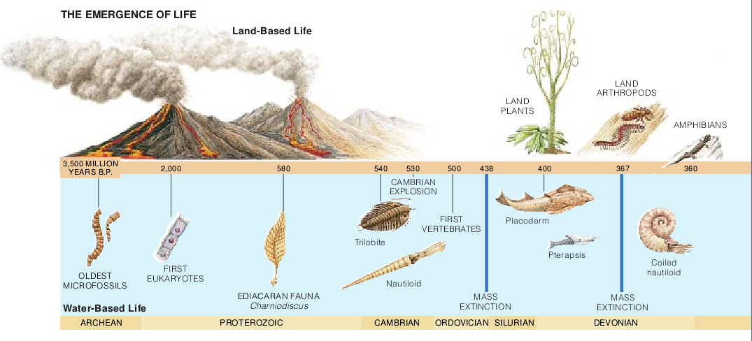 Life in the Universe-03.jpg