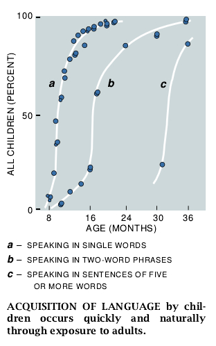 The Emergence of Intelligence-05.jpg