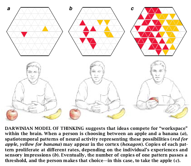 The Emergence of Intelligence-07.jpg