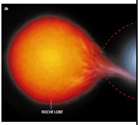 超软X射线星与超新星 5.png