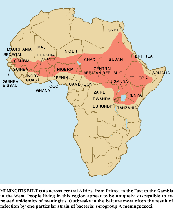 Cerebrospinal Meningitis Epidemics-03.jpg