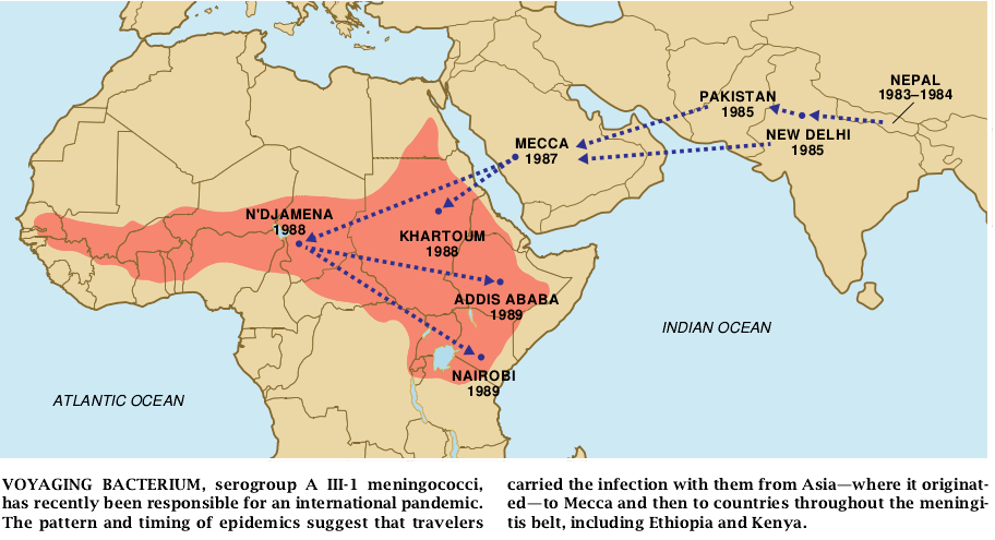 Cerebrospinal Meningitis Epidemics-08.jpg