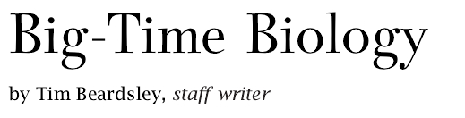 Big-Time Biology.jpg