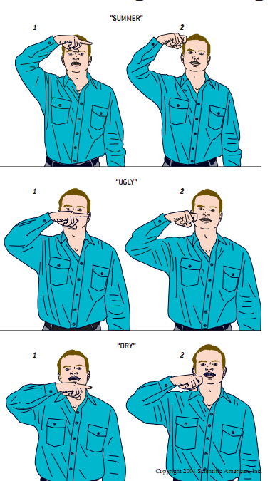 大脑中的手语4.png