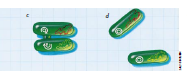 4.PNG