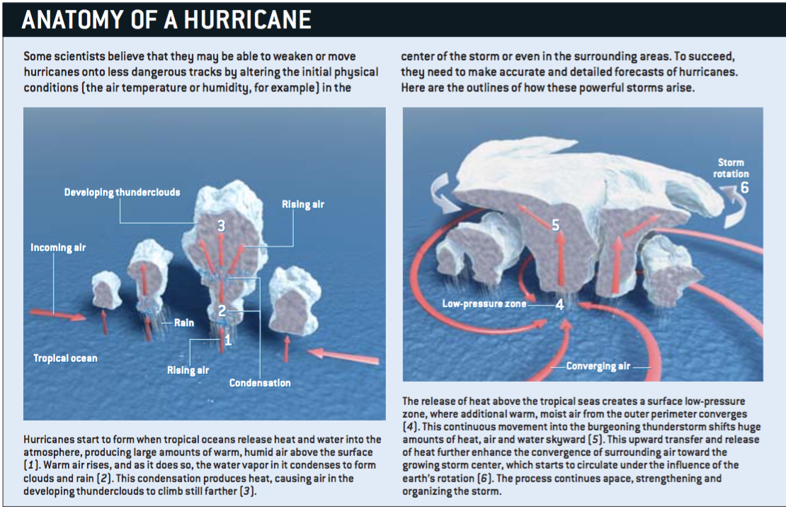 驾驭飓风的秘诀2.png