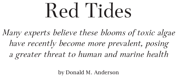 Red Tides.jpg