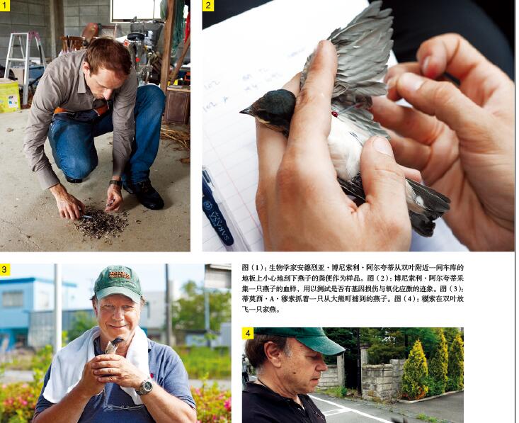 福岛：核辐射实验场1.jpg