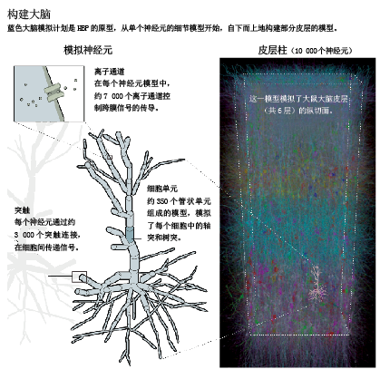 10亿欧元打造虚拟大脑.png