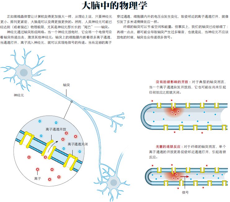 人类智力2.png