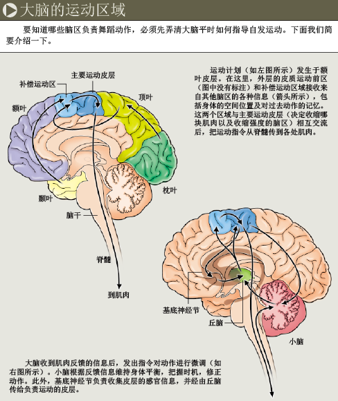 神经元之“舞” (2).png