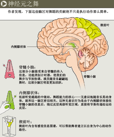 神经元之“舞” (5).png