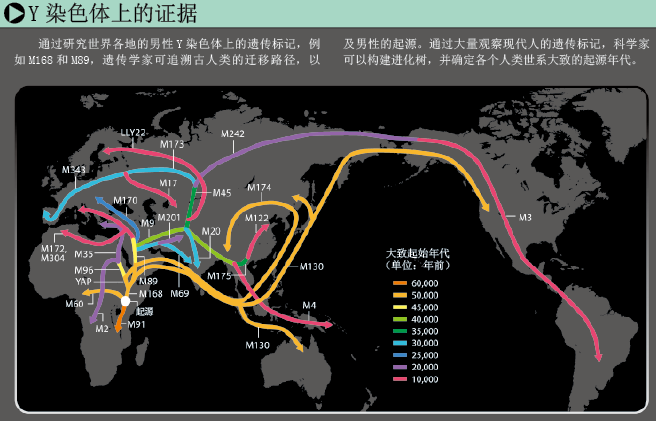 DNA记录人类迁徙路线 (3).png