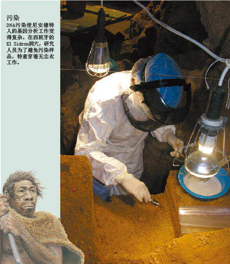 DNA记录人类迁徙路线 (4).png
