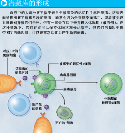 艾滋病能治愈吗 (2).png