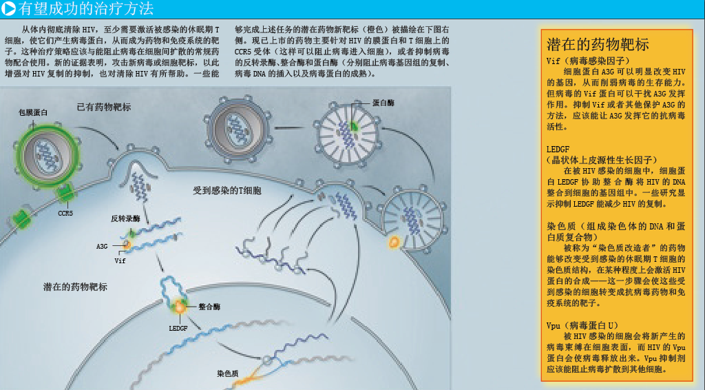 艾滋病能治愈吗 (3).png