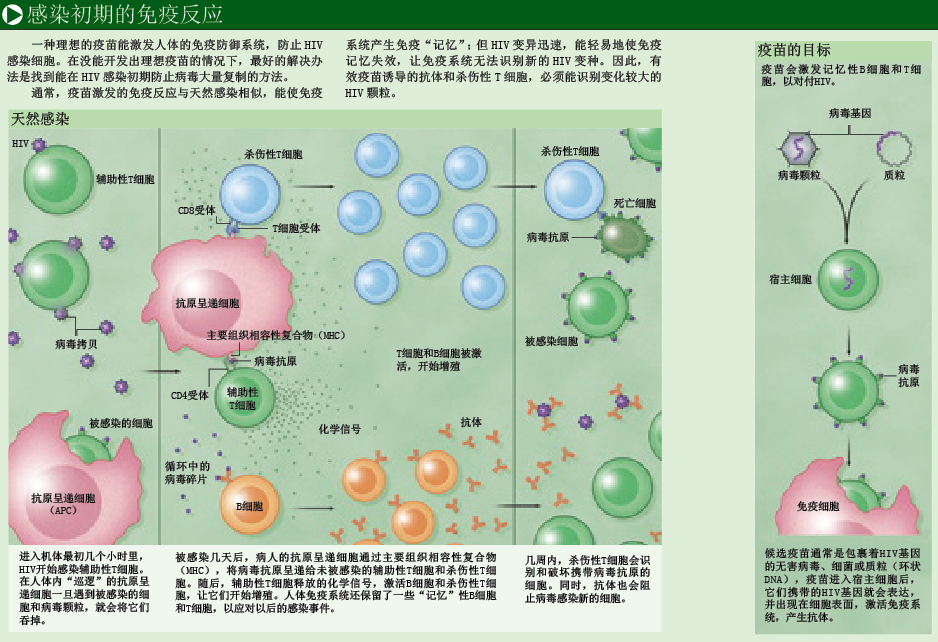 艾滋病疫苗曙光乍现 (2).png