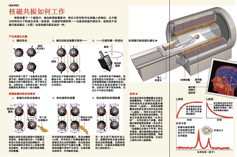 口袋里的核磁共振仪 (1).png