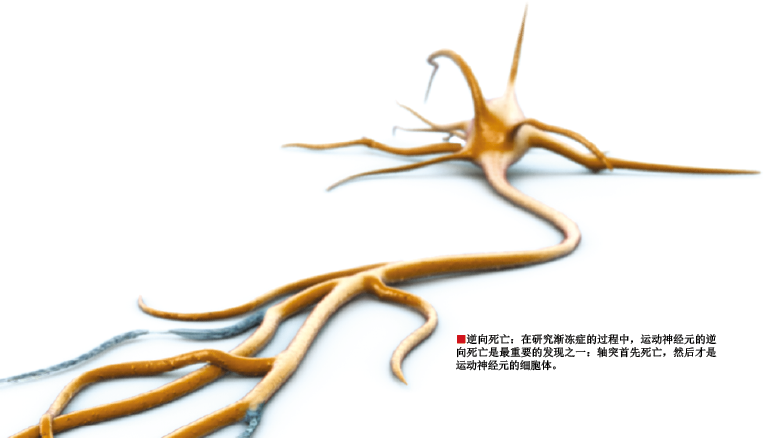 让霍金重新站起来 (1).png