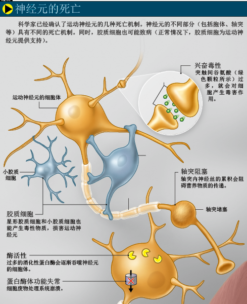 让霍金重新站起来 (4).png