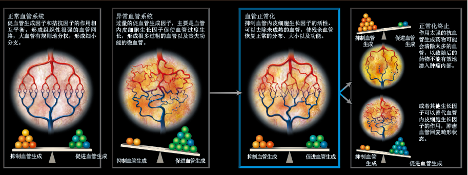梳理血管  治癌新方法 (4).png