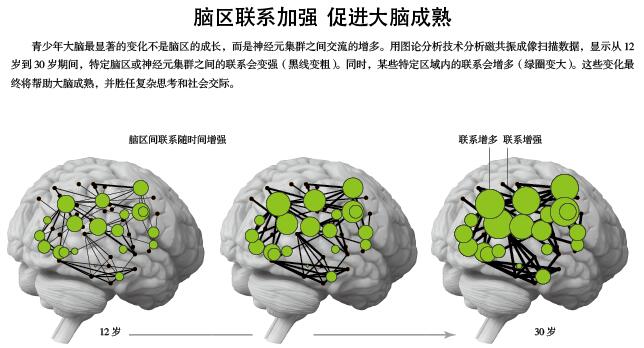 冲动与冒险：解构青春期大脑.jpg
