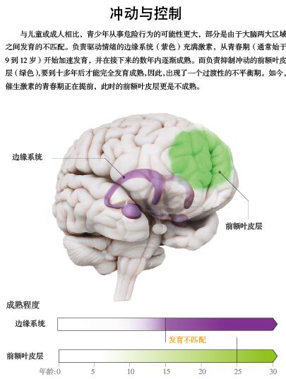 冲动与冒险：解构青春期大脑1.jpg