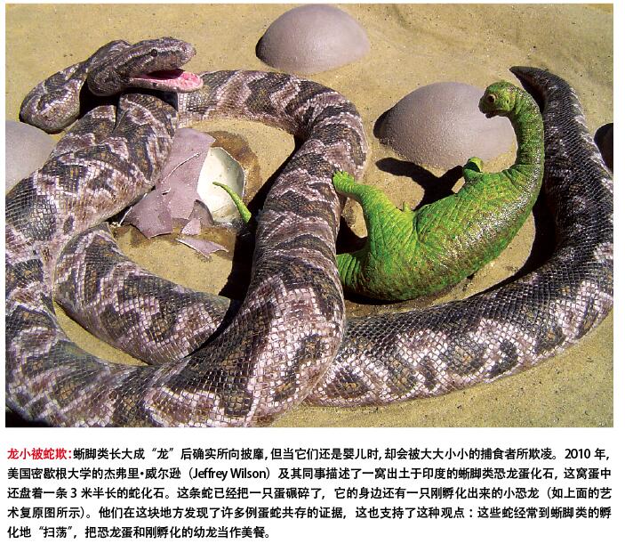 巨型恐龙挑战生物法则.jpg