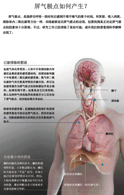 谁在设定屏气极限.png