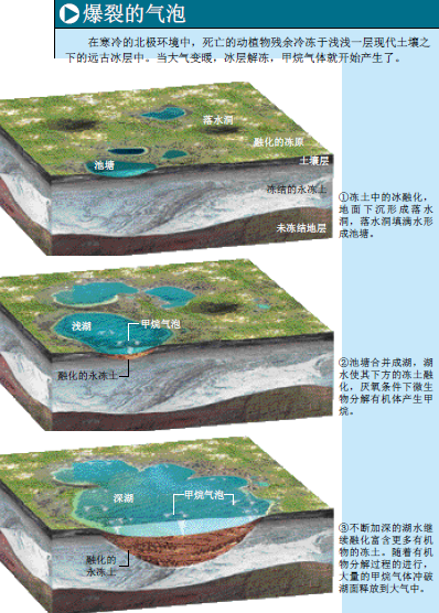 从北极冻土中爆发 (3).png