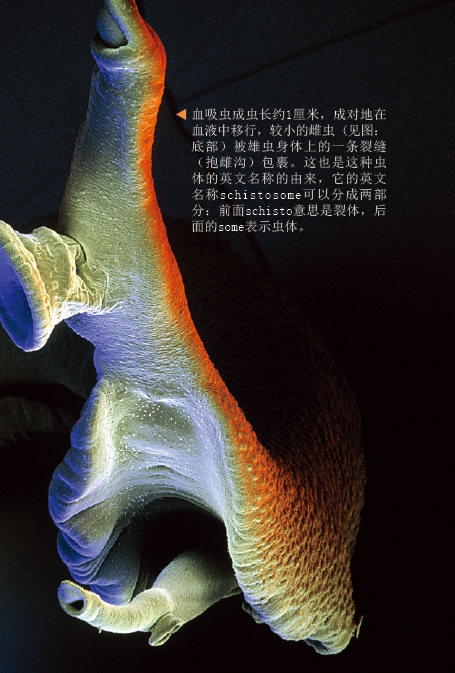 1511812527174779.png