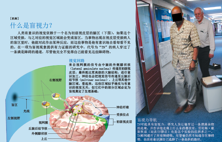 你不了解的盲视力 (2).png