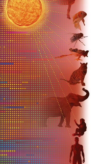 1511844079303198.png