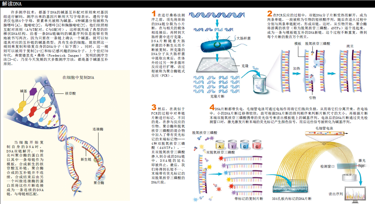 1000美元测出你的基因组 (1).png